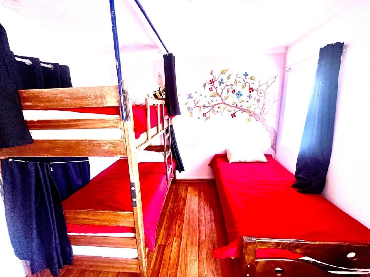 Cusco House Inn Hostel Ngoại thất bức ảnh